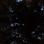 page24-1013-full.jpg