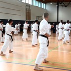 _MG_5636.JPG