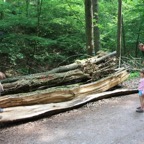 K1024_IMG_8562.JPG