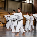 2014-06-19 Lehrgang mit Oshiro Shihan in Straubing-10.jpg