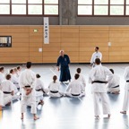 2014-06-19 Lehrgang mit Oshiro Shihan in Straubing-11.jpg