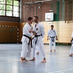 2014-06-19 Lehrgang mit Oshiro Shihan in Straubing-14.jpg