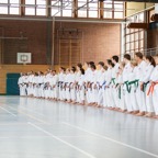 2014-06-19 Lehrgang mit Oshiro Shihan in Straubing-16.jpg