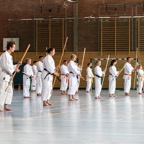 2014-06-19 Lehrgang mit Oshiro Shihan in Straubing-17.jpg