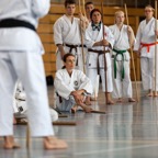 2014-06-19 Lehrgang mit Oshiro Shihan in Straubing-19.jpg
