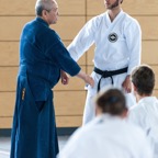 2014-06-19 Lehrgang mit Oshiro Shihan in Straubing-2.jpg