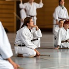 2014-06-19 Lehrgang mit Oshiro Shihan in Straubing-21.jpg