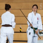 2014-06-19 Lehrgang mit Oshiro Shihan in Straubing-25.jpg
