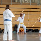 2014-06-19 Lehrgang mit Oshiro Shihan in Straubing-27.jpg