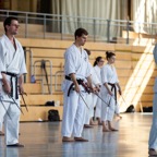 2014-06-19 Lehrgang mit Oshiro Shihan in Straubing-31.jpg
