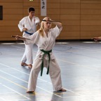 2014-06-19 Lehrgang mit Oshiro Shihan in Straubing-32.jpg