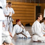 2014-06-19 Lehrgang mit Oshiro Shihan in Straubing-4.jpg