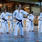 2014-06-22 Lehrgang mit Oshiro Shihan in Straubing-1.jpg