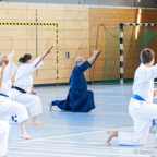 2014-06-22 Lehrgang mit Oshiro Shihan in Straubing-10.jpg