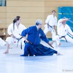 2014-06-22 Lehrgang mit Oshiro Shihan in Straubing-12.jpg