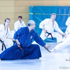 2014-06-22 Lehrgang mit Oshiro Shihan in Straubing-13.jpg