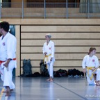 2014-06-22 Lehrgang mit Oshiro Shihan in Straubing-14.jpg