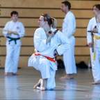 2014-06-22 Lehrgang mit Oshiro Shihan in Straubing-17.jpg