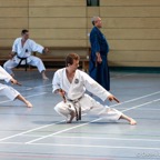 2014-06-22 Lehrgang mit Oshiro Shihan in Straubing-20.jpg
