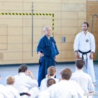 2014-06-22 Lehrgang mit Oshiro Shihan in Straubing-21.jpg