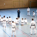 2014-06-22 Lehrgang mit Oshiro Shihan in Straubing-25.jpg