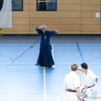 2014-06-22 Lehrgang mit Oshiro Shihan in Straubing-26.jpg