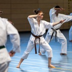 2014-06-22 Lehrgang mit Oshiro Shihan in Straubing-27.jpg