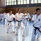 2014-06-22 Lehrgang mit Oshiro Shihan in Straubing-29.jpg