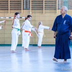 2014-06-22 Lehrgang mit Oshiro Shihan in Straubing-3.jpg