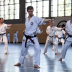 2014-06-22 Lehrgang mit Oshiro Shihan in Straubing-30.jpg