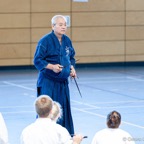 2014-06-22 Lehrgang mit Oshiro Shihan in Straubing-31.jpg