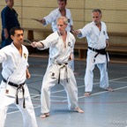 2014-06-22 Lehrgang mit Oshiro Shihan in Straubing-32.jpg