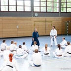 2014-06-22 Lehrgang mit Oshiro Shihan in Straubing-33.jpg