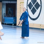 2014-06-22 Lehrgang mit Oshiro Shihan in Straubing-4.jpg