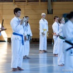 2014-06-22 Lehrgang mit Oshiro Shihan in Straubing-5.jpg