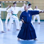 2014-06-22 Lehrgang mit Oshiro Shihan in Straubing-6.jpg