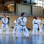 2014-06-22 Lehrgang mit Oshiro Shihan in Straubing-7.jpg