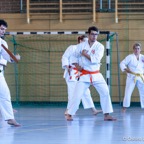 2014-06-22 Lehrgang mit Oshiro Shihan in Straubing-8.jpg
