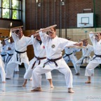 2014-06-22 Lehrgang mit Oshiro Shihan in Straubing-9.jpg