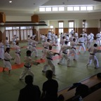 Nippon_58.jpg