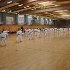 DSC_0189.JPG