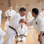 2015-05-09 Lehrgang mit Romero Sensei in Straubing-13.jpg