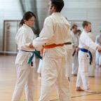 2015-05-09 Lehrgang mit Romero Sensei in Straubing-2.jpg