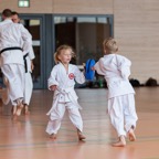 2015-05-09 Lehrgang mit Romero Sensei in Straubing-36.jpg