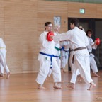 2015-05-09 Lehrgang mit Romero Sensei in Straubing-37.jpg