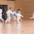 2015-05-09 Lehrgang mit Romero Sensei in Straubing-38.jpg
