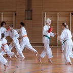 2015-05-09 Lehrgang mit Romero Sensei in Straubing-42.jpg