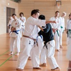 2015-05-09 Lehrgang mit Romero Sensei in Straubing-46.jpg