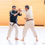 2015-05-09 Lehrgang mit Romero Sensei in Straubing-51.jpg