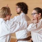2015-05-09 Lehrgang mit Romero Sensei in Straubing-56.jpg